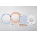 PTFE Gasket
